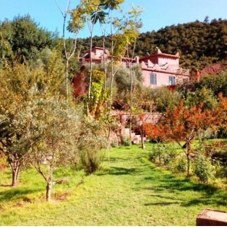 Ourika Timalizene Le Jardin Des Delices Hotel Tamezindert Екстериор снимка