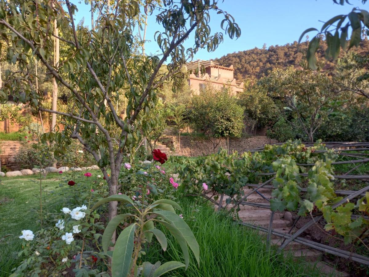 Ourika Timalizene Le Jardin Des Delices Hotel Tamezindert Екстериор снимка