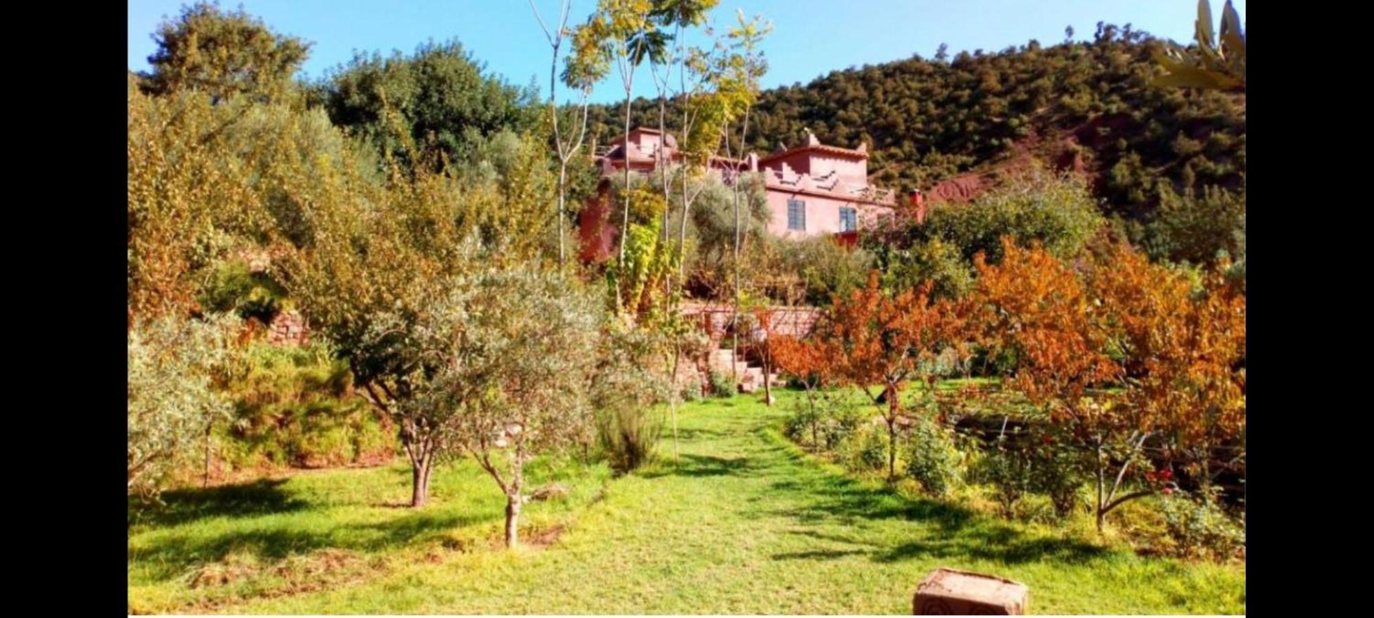 Ourika Timalizene Le Jardin Des Delices Hotel Tamezindert Екстериор снимка